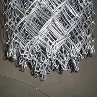 Recinto galvanizzato della maglia del diamante del recinto del collegamento a catena del rotolo 50X50mm 100 Ft della immersione calda della fabbrica della cina