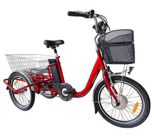 <span class=keywords><strong>Tricycle</strong></span> cargo électrique OEM économique, motorisé 350W, 3 roues, pneus 20 pouces, carrosserie ouverte en acier, pour personnes âgées, autonomie 30 km, batterie 10.4Ah - Product Image 1