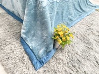 Couverture en Raschel Minky double épaisseur super douce de style coréen Abime, taille Queen, 4 kg, fabriquée sur mesure en Chine