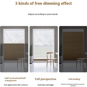 Moderna perlina a doppio tiro giorno <span class=keywords><strong>notte</strong></span> oscurante tenda a nido d'ape bandiera elettrica alzando sfumature di organo per camera da letto e studio per alberghi - Product Image 4