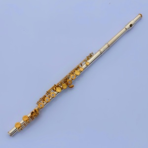 <span class=keywords><strong>Flauta</strong></span> de doble acción de 16/17 llaves, llave E, llave C, plateada, de grado <span class=keywords><strong>profesional</strong></span>, para exámenes, actuaciones y otros usos, suministro transfronterizo - Product Image 1