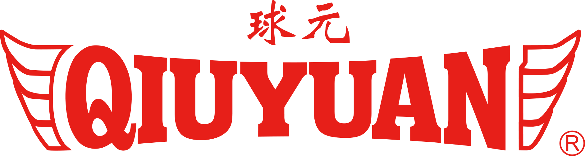 Dongguan Wangyuan Sports Equipment Co., Ltd. logo