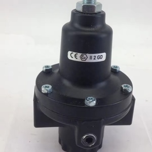 20AG-X4G-PH100 - Regulador de 1/2" BSPP |   Medidor de Flujo Alto 20AG-X4G-PH100 de la Serie 20AG - Product Image 2