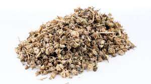 Extracto de hierbas de semilla de Tribulus Terrestris de grado alimenticio más vendido, Extracto de planta artesanal de tambor de fruta Gokhru indio fresco - Product Image 6