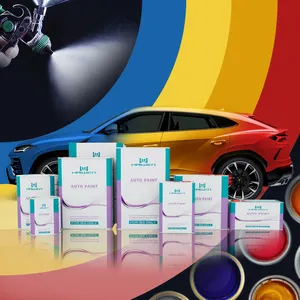 Haiwen Marca Fabricante Atacado com Alto Brilho Forte Poder de Esconder Fácil de cor 2k Paint e Car Paint Spray