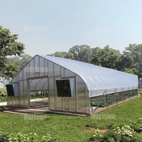 Serre en film plastique de haute résistance pour l'agriculture et les fermes, tunnel polyvalent, abri de culture, serre à tomates à vendre