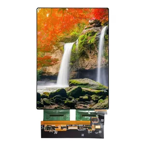 11 pulgadas 1728*2360 FHD IPS Pantalla AMOLED módulos con Oncell Multi capacitiva Touch Panel MIPI interfaz Color OLED pantalla LCD de pantalla