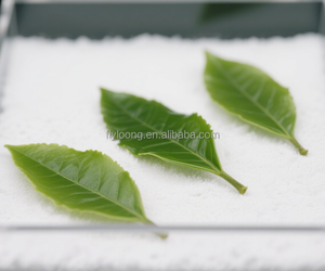 Estratto di tè verde essiccato biologico di alta qualità in polvere 40% L-teanina 6% EGCG 3% caffeina additivi alimentari concentrazioni mirate - Product Image 4