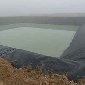 HDPE LDPE Geomembraan Industrieel PVC Visvijver Grote Plastic Visvijvers Anti-UV Milieuvriendelijk ASTM Gecertificeerd Waterdicht - Product Image 4