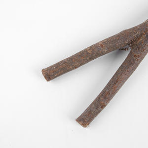 Pet kuş oyuncaklar kuş standı çerçeve afrika gri papağan ahşap oyuncak tırmanma ahşap sopa kuş malzemeleri - Product Image 3