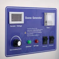 Qlozone endüstriyel su ürünleri 10g generador de ozono hava temizleyici taşınabilir ozon jeneratörü sebze