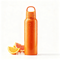 Bouteille isotherme en acier inoxydable à double paroi de 600 ml (20 oz) avec bec verseur rotatif à 90 degrés