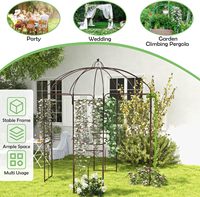 Großhandel Metall-Gartenbogen Robuster Eisen-Rankbogen für Kletterpflanzen Gartenpflanzenstütze für Draußen mit Bodenanker