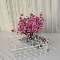 Vente en gros d'arrangements de fleurs naturelles, bouquet de marguerites roses séchées, rhodanthe