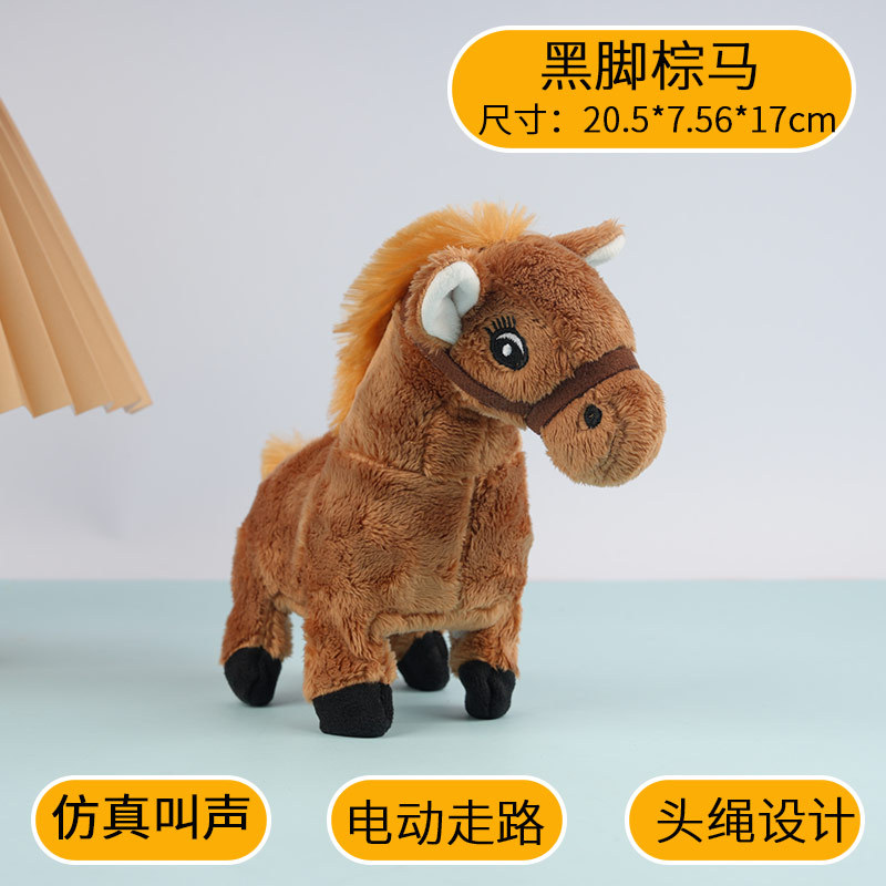 Black-footed horse-brown