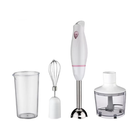 Mixeur Plongeant Multifonctionnel RSC en Acier Inoxydable, Ensemble de Mixeur Plongeant Professionnel HB027