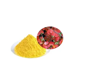 高品质天然菲塞丁粉末98% 85% 50% 纯Cotinus Coggygria提取物