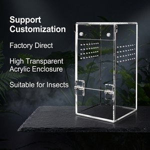 Enclos à insectes avec logo et dimensions personnalisables, design empilable et ventilation optimisée pour les magasins commerciaux de reptiles et d'insectes (tarantules) - Product Image 1