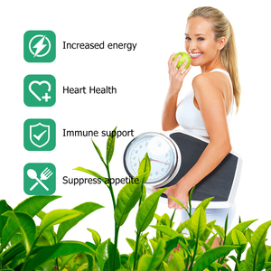 Complément alimentaire à prix avantageux pour la détoxification, l'augmentation de la vitalité et la perte de poids, avec extrait de thé vert, capsules brûle-graisses - Product Image 5