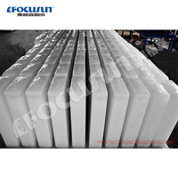 Machine à glaçons en bloc à réfrigération directe de 5 tonnes, à économie d'énergie et de haute qualité, fabricant de glace célèbre en Chine
