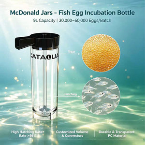 Bassin RAS haute performance pour l'élevage de poissons, incubateur de tilapias avec flux de refoulement, en acrylique - Product Image 1
