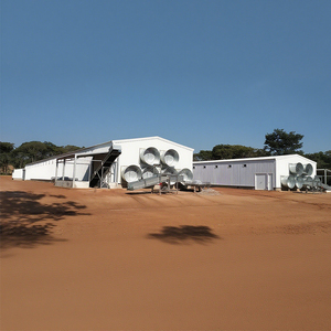 Trang trại Kết Cấu Thép Gà nhà cho gà nâng cao - Product Image 2