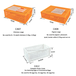 Scatole di trasporto per pollo, gabbia per pollo in plastica economica in vendita casse di plastica agricole - Product Image 6