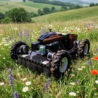 Tondeuse à gazon télécommandée tout-terrain de type chenillé avec plateau de coupe de 550 mm pour l'entretien des pentes raides