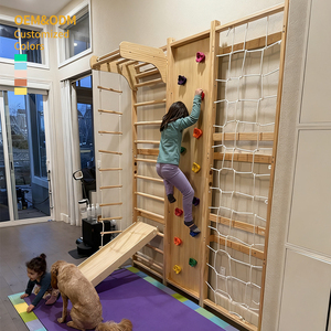 9 trong 1 trong nhà leo khung trẻ em người lớn trong nhà phòng tập thể dục gỗ Thụy Điển Thang leo tường - Product Image 2
