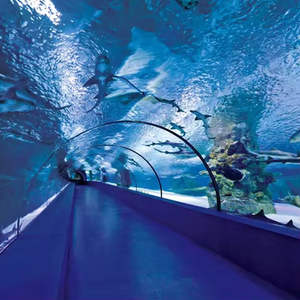 Tunnel en verre acrylique pour aquarium, garantie 30 ans, HUASHUAITE - Product Image 6