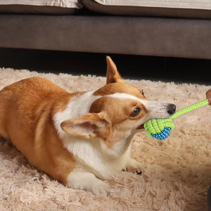 Durable pequeño mediano grande perro cachorro masticar juguete <span class=keywords><strong>de</strong></span> goma sostenible dentición juego interactivo cuerda <span class=keywords><strong>de</strong></span> algodón juguete ecológico para mascotas - Product Image 4