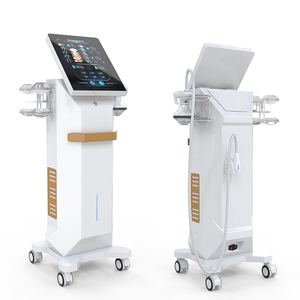 Máquina Profesional para Tratamiento del Dolor No Invasivo, Fisioterapia, Rehabilitación y Alivio del Dolor - Product Image 3
