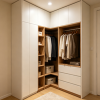 Tiroir de placard encastré en chêne naturel doré, avec éclairage LED doré, pour projets de design de chambre parentale sur mesure