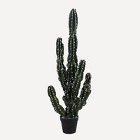 Usine gros gros syllabus de cactus artificiel bonsaï plantes vertes du désert tropical