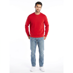 Sweat-shirt pour homme, nouveau, en molleton, à enfiler, 100% coton, thermique, lourd, col rond, sweat-shirt pour homme - Product Image 1