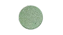 Vert basilic