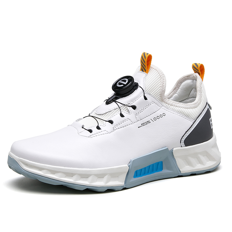 sports shoes cost