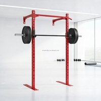 Rig mural personnalisé pour tractions, équipement d'entraînement de force