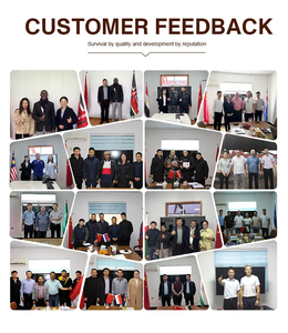 Máquina para Freír Pescado y Piel de Salmón, Línea de Producción de Pescado Frito, Componentes Principales de la Caja de Cambios, 1 Año de Garantía - Product Image 6