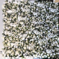 Offre Spéciale mur d'herbe avec fleurs, mur de plante verte à enrouler personnalisé avec fleur décor de fête de mariage mur de fleurs blanches