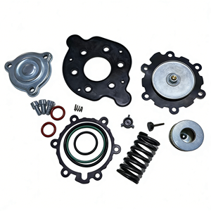 Kit di Riparazione Diaframma Regolatore AT13 con Cuscinetto in Gomma |   Parti di Ricambio per Manutenzione di Conversioni e Riduttori GNV/GLP/LPG - Product Image 6