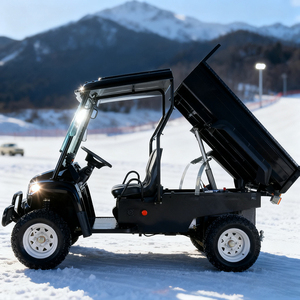 Lado a lado 4x4 eléctrico Utv 4x4 granja <span class=keywords><strong>Mini</strong></span> <span class=keywords><strong>Jeep</strong></span> eléctrico UTV para la venta - Product Image 3