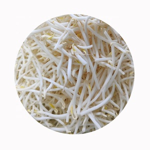 Giá Nhà Sản Xuất Bán Buôn Iqf Đậu Xanh Đông Lạnh Rau Củ Đậu Xanh - Product Image 3