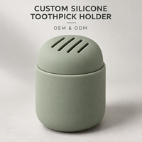 Porte-cure-dents en silicone personnalisé avec couvercle à fentes, moulage intégré, boîte de rangement portable, décoration de table à domicile en silicone
