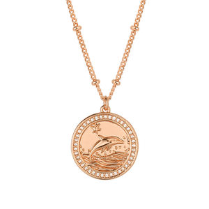 אבני חן בהתאמה אישית 925 תכשיטי כסף זהב מצופה זהב לבן cz כוכב דולפין שרשרת תליון כסף - Product Image 1