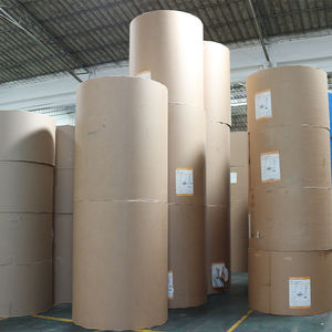 Papel de pulpa de madera de grado alimenticio materia prima rollo <span class=keywords><strong>jumbo</strong></span> papel de bambú 250gsm rollos de papel recubierto PE para taza - Product Image 5