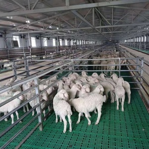 Pisos de Plástico Duradero <span class=keywords><strong>para</strong></span> Ovejas y Cabras, Diseño Especial <span class=keywords><strong>para</strong></span> Granjas de Cría de Ovejas - Product Image 3