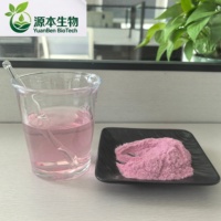 Penjualan Langsung Pabrik. Bubuk Jus Blueberry Sehat dan Berkualitas Tinggi.