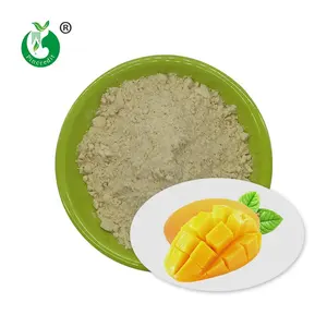 Fabriek Levering 100% Natuurlijke Gevriesdroogde Superfoods Mango Poeder