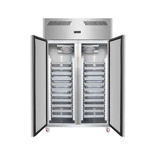 Factory Supply high quality commercial fridge refrigerator hotel & restaurant reach in freezer 2 door insert tray pan freezer
